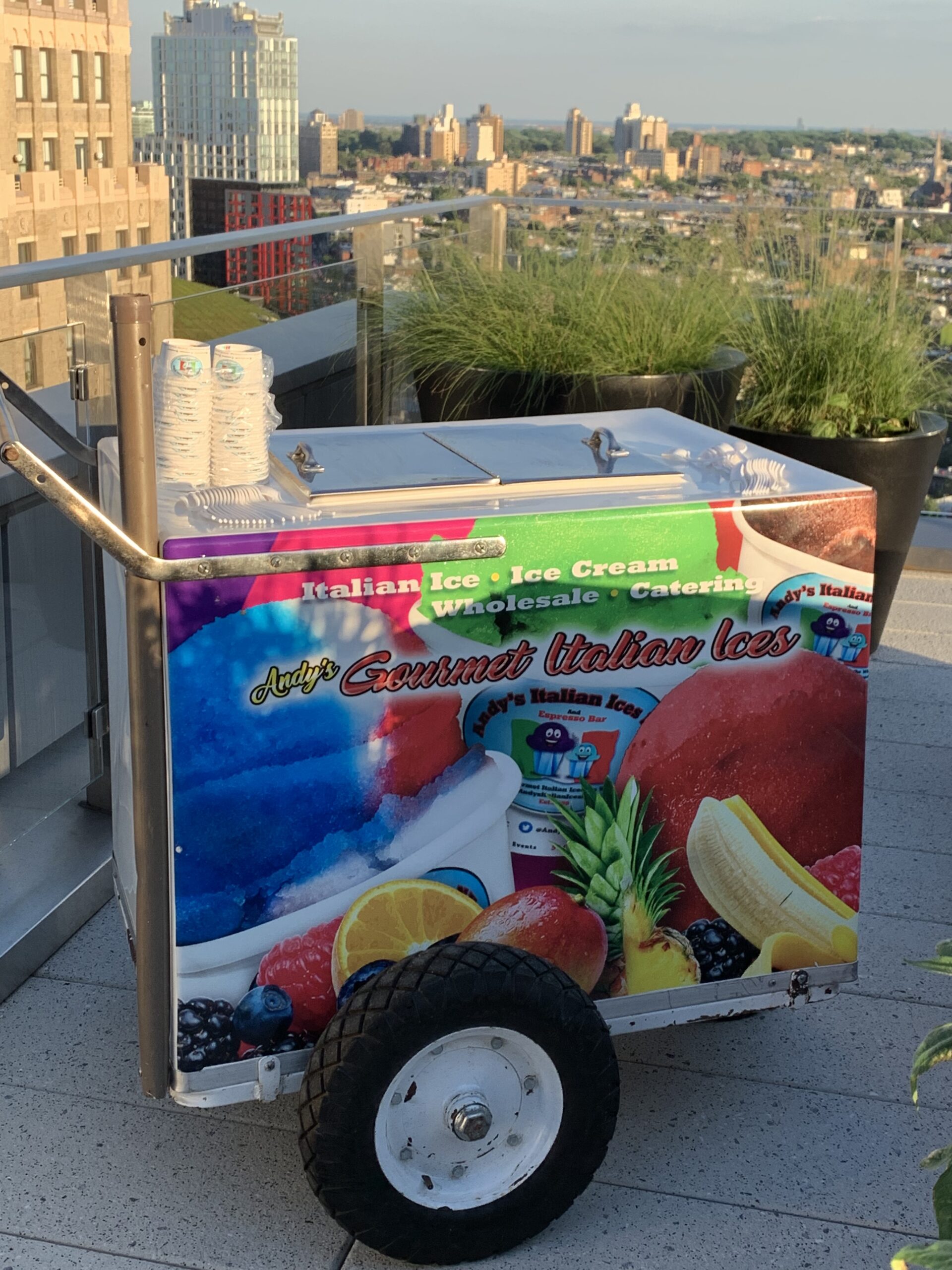 Catering | Andy's Italian Ices NYC